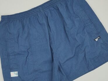 Trousers: Shorts for men, S (EU 36), condition - Good