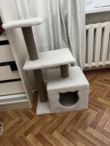 седло для лошади цена: Продаю Кошачий комплекс, когтеточка + дом очень срочно покупал на WB