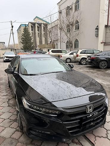 Органайзеры: Органайзер цвет - Черный — 10