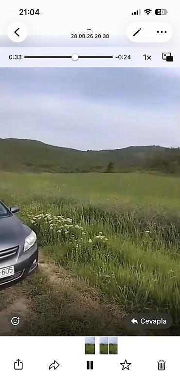 quba rayonu: Quba seherinin deveci rayonu Zeyve kendi Devecinin alt yaninda 1hektar — 3