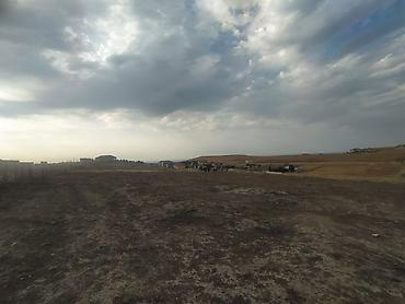 Torpaq sahələrinin satışı: 12 sot, Kupça (Çıxarış) — 9