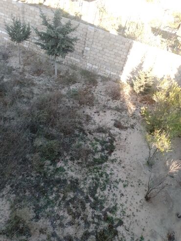 xacmaz is elanlari 2022: Для строительства