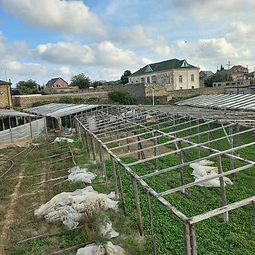 torpaq satilir sumqayit: 26 sot, Tikinti, Mülkiyyətçi, Kupça (Çıxarış) — 5