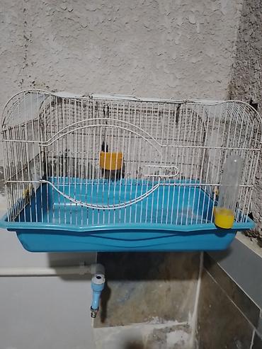 Зоотовары: Quş qəfəsi – orta ölçülü, metal barmaqlıqlı və mavi plastik altlıqla — 3