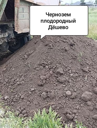 чернозем цена: В тоннах, Бесплатная доставка, Зил — 1