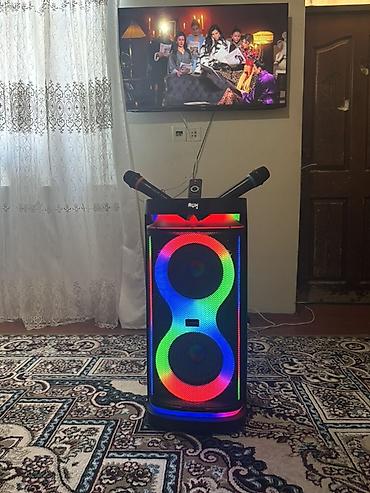 sekaku mikrafon: Hofman Karaoke funksiyalı portativ partnyor akustik sistemi - İki — 2