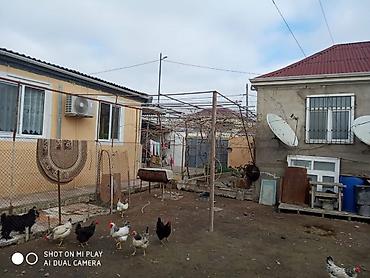 Həyət evləri və villaların satışı: 4 otaqlı, 4 kv. m, Orta təmir — 6