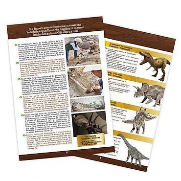 papuce stradivarius: Dino skelet 104872 Buki – kreativni set za male paleontologe Opis: - — 4