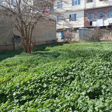 Torpaq sahələrinin satışı: 16 sot, Biznes üçün, Mülkiyyətçi, Kupça (Çıxarış)