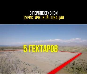 исык куль номера: 500 соток, Для строительства — 1