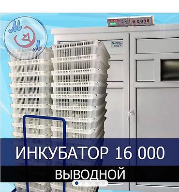 дойки ко: Инкубатор выводной на 16 000 яиц Промышленный выводной инкубатор — 1