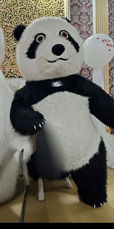 28 may slayd: Panda maskotu kostyumu - Rəng: klassik qara-ağ panda - Material — 1
