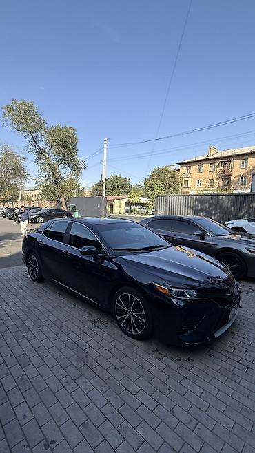 тайота камри 70 xse: Toyota Camry: 2019 г., 2.5 л, Автомат, Бензин, Седан — 3