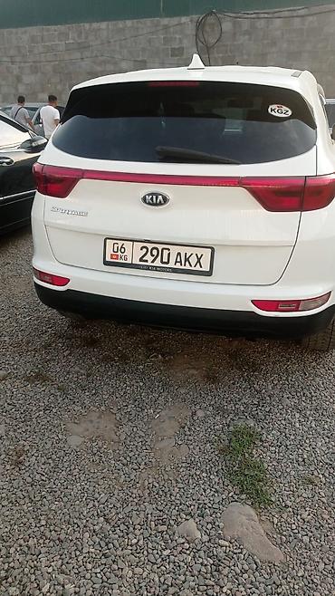 spark 2017: Kia Sportage: 2017 г., 2.4 л, Автомат, Бензин, Кроссовер — 5