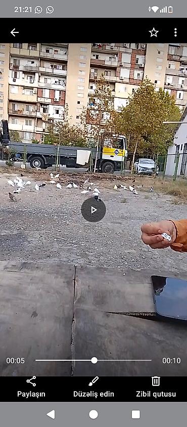 Üsd üsdə kom 7 balda 80 nə yaxn heyvandı lalafo.az -da Üsd üsdə kom 7 balda 80 nə yaxn heyvandı