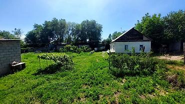 Продажа коттеджей и домов: Продаётся дом, Дмитриевка (Иссык-Атинский район) 4 км от г. Кант Видео at lalafo.kg — 1 Продажа коттеджей и домов: Продаётся дом, Дмитриевка (Иссык-Атинский район) 4 км от г. Кант Видео — 1