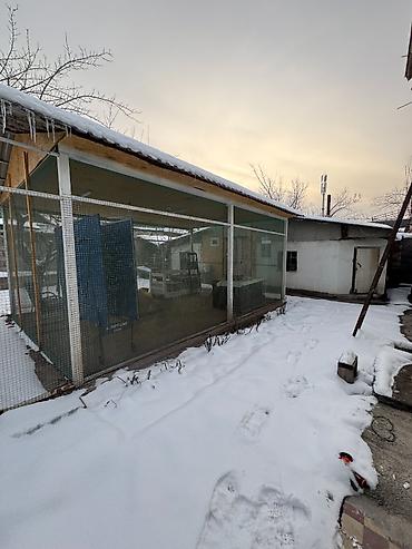 Продажа коттеджей и домов: Продаю дом в р-не Тоголока Молдо/Щербакова Характеристики: • — 3