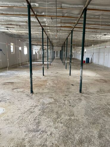 Kommersiya daşınmaz əmlakının satışı: TƏCİLİ SATILIR! Quşçuluq və heyvandarlıq üçün nəzərdə tutulmuş ferma -da lalafo.az — 2 Kommersiya daşınmaz əmlakının satışı: TƏCİLİ SATILIR! Quşçuluq və heyvandarlıq üçün nəzərdə tutulmuş ferma — 2