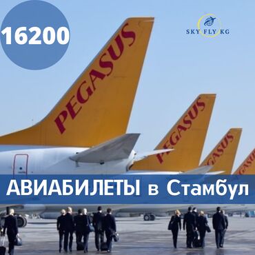 309 объявлений: Авиабилеты в Стамбул! Авиабилеты во все города Турции по самым доступн