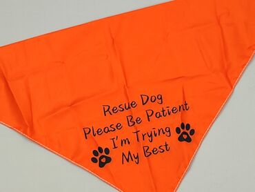 Pomarańczowa chusta dla psa z napisem „Rescue Dog Please Be Patient