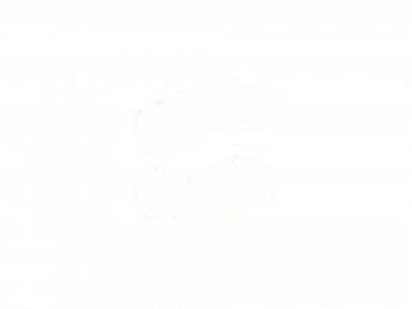 Električne bušilice: Električna bušilica/odvijač Geko (mrežni model) - Kompaktna mrežna — 4