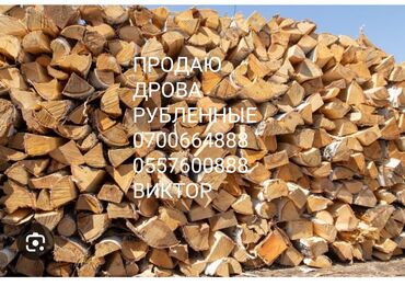 измельчитель дров: Дрова Карагач