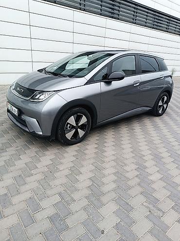 BYD: BYD Dolphin: 2023 г., Электромобиль, Хэтчбэк — 3