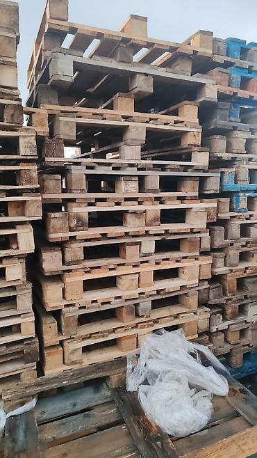 paddon palet: Pallet, 800 х 1200 sm — 2