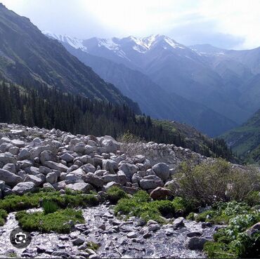 раздольный ак жол: 1000 соток Для бизнеса, Электричество, Водопровод