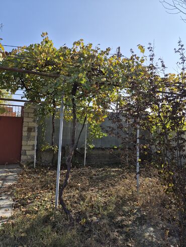 Torpaq sahələrinin satışı: 8 sot, Mülkiyyətçi, Texniki pasport, Kupça (Çıxarış) — 13