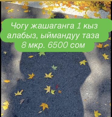 помещение для одежды: 36 кв. м, Эмерексиз