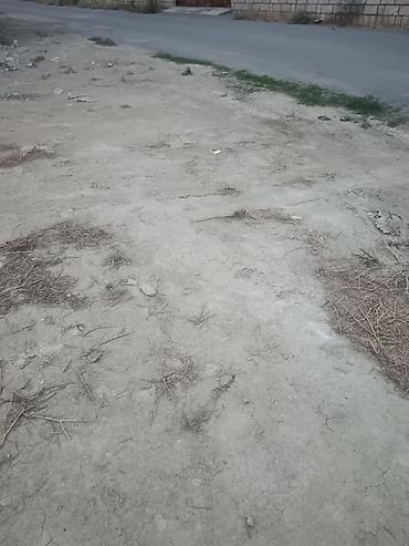 tikinti daşları: Salam torpaq sahesi satılır naftalan şeherindedi şeherin merkezine — 4