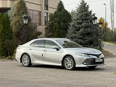 резина зимний: Toyota Camry: 2019 г., 2.5 л, Автомат, Гибрид, Седан — 4