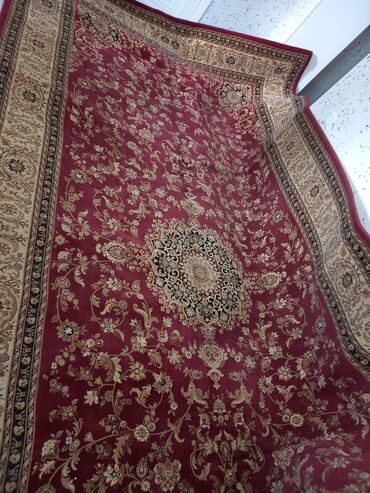 цветы для офиса и дома: Продаю ковёр турецкий миллионик размер 5 на 2.5