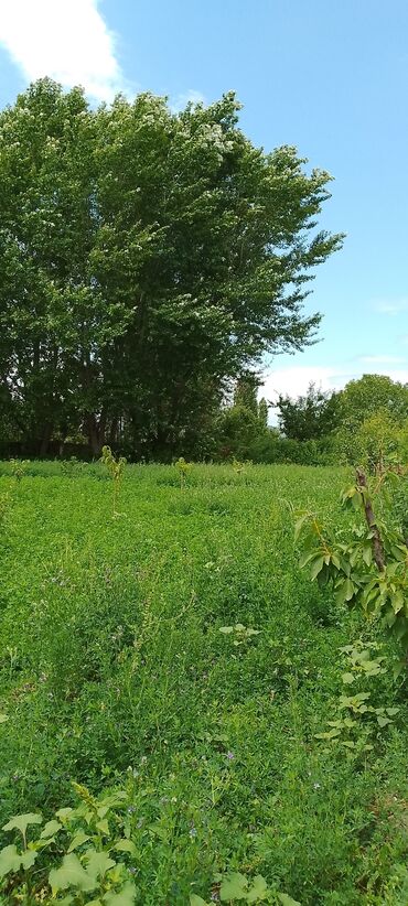 Həyət evləri və villaların satışı: 3 otaqlı, 132 kv. m, Kredit yoxdur, Yeni təmirli -da lalafo.az — 14 Həyət evləri və villaların satışı: 3 otaqlı, 132 kv. m, Kredit yoxdur, Yeni təmirli — 14