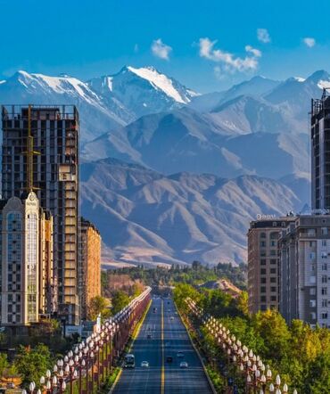 Продажа квартир: 1 комната, 45 м², 2 этаж — 14