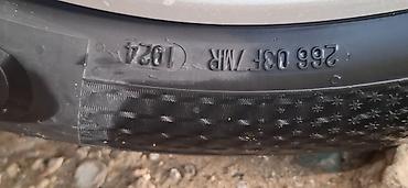 disk teker 17: İşlənmiş Şin Continental 205 / 55 / R 16 — 3