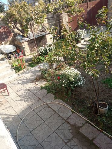 Otaqların uzunmüddətli kirayəsi: Satilir geniş və işıqlı otaq 2 otaq 1 zal metbex hamam ayaq yolu — 7