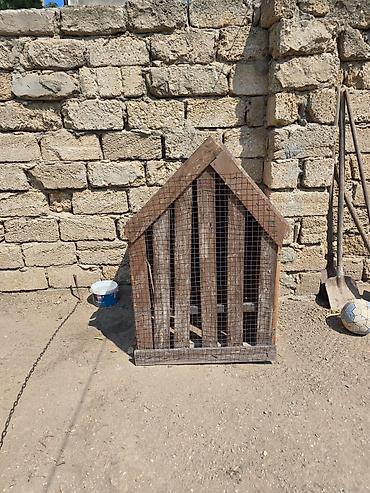 it xasqi: Taxta it evi / qəfəs tipli budka - Material: qalın taxta lövhələr və — 1