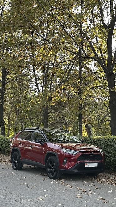 Toyota RAV4: 2020 г., 2.5 л, Автомат, Бензин, Кроссовер at lalafo.kg Toyota RAV4: 2020 г., 2.5 л, Автомат, Бензин, Кроссовер