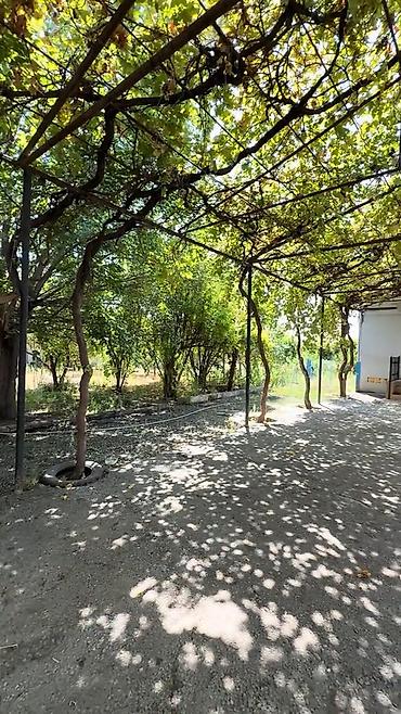 Bağ evlərinin satışı: Həyət evi / bağ sahəsi satılır. Ərazi daş hasarla tam hasarlanıb və — 3