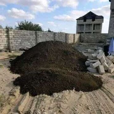 Toxumlar: Şəhid ailələrinə çatdırılma pulsuzdur. Qara torpaq Şamaxı İsmayıllı — 10