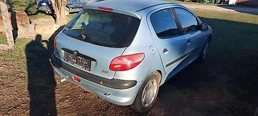 putnicki kombi: VRATA EYLC BOJA ZA PEUGEOT 206 | Vrata za peugeot 206 u EYLC — 3