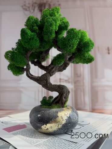 Декоративные цветы: Деревья-бонсай из натурального стабилизированного мха🌳 -это — 36