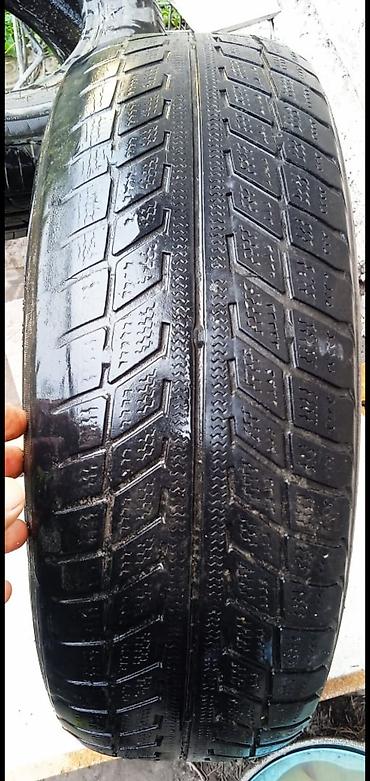 Шина 185/65 R14 — 1 шт. - Размер: 185/65 R14 - Подходит как запаска at lalafo.kg Шина 185/65 R14 — 1 шт. - Размер: 185/65 R14 - Подходит как запаска