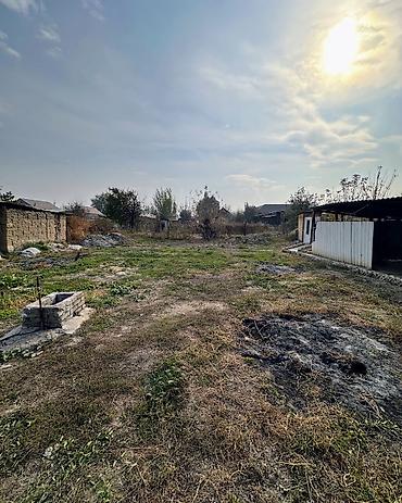 купить фермы: 3 комнаты, 70 м², 8 соток, Гавриловка, Агентство недвижимости — 6