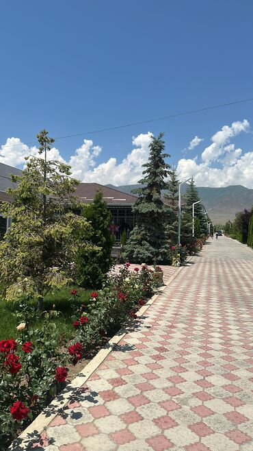 Иссык-Куль 2025: Квартира, ПАРИЖ-1 ЦО Париж, Чок-Тал, Охраняемая территория, Парковка, стоянка, Детская площадка at lalafo.kg — 12 Иссык-Куль 2025: Квартира, ПАРИЖ-1 ЦО Париж, Чок-Тал, Охраняемая территория, Парковка, стоянка, Детская площадка — 12