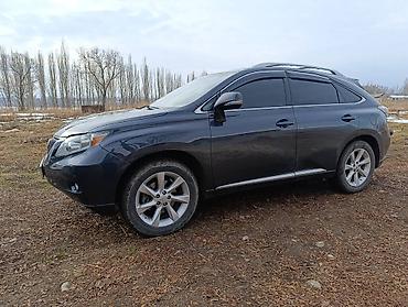 Lexus: Lexus RX: 2009 г., 3.5 л, Автомат, Бензин, Кроссовер — 2