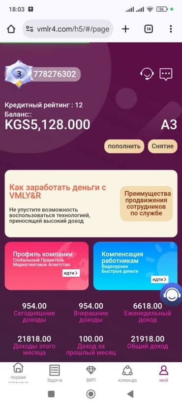 работа разнаробочий: Уйдон чыкпай телефон менен иштегенди билгендер жумушка кабыл алынат