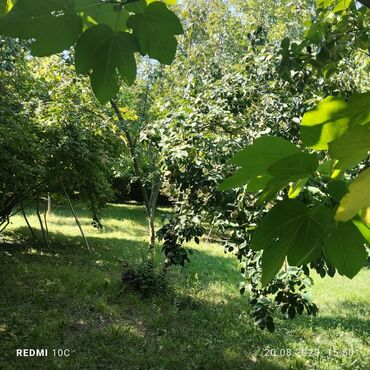 türkanda ev: 25 соток, Собственник, Купчая